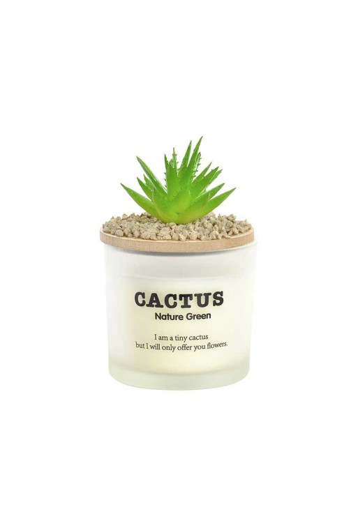 Bougie CACTUS en verre  blanc 8x8x13 cm